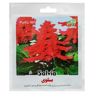 بذر گل سلوی گرین فارم کد GRFS 32