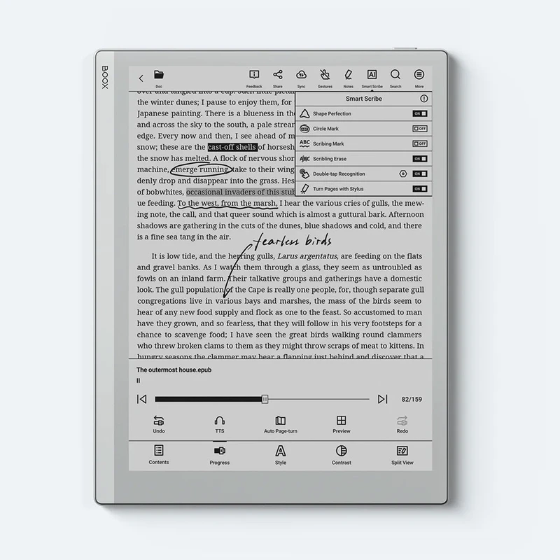 عکس شماره 5 : کتاب خوان بوکس مدل go 10.3