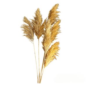 گل خشک مدل پامپاس پاک شده مجموعه 6 عددی