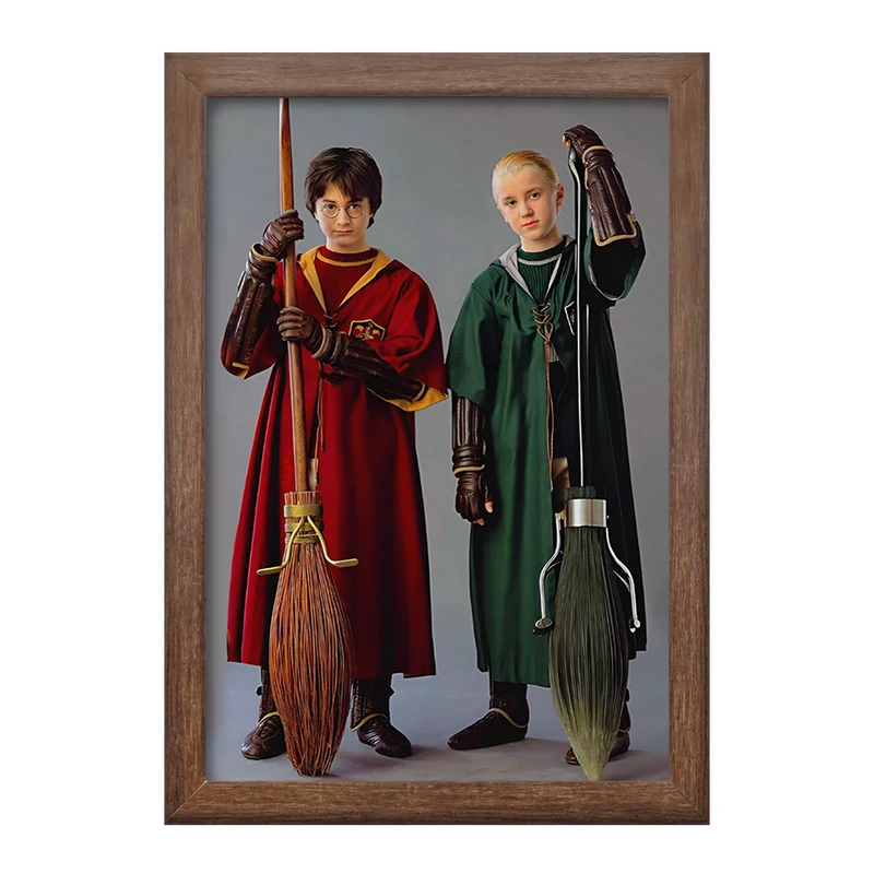 تابلو خندالو طرح هری پاتر (Harry Potter) کد F6005