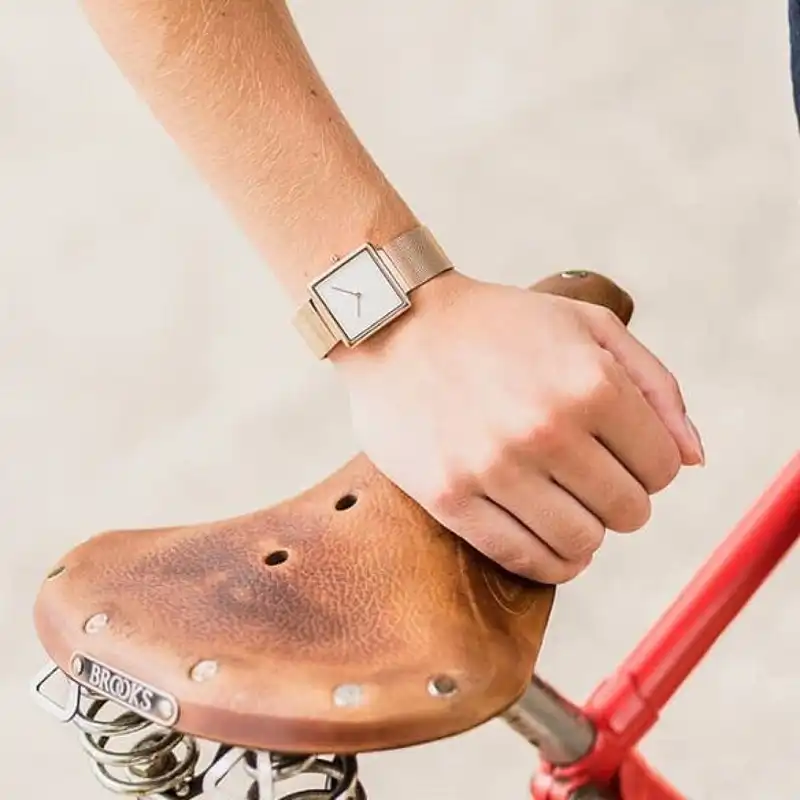 ساعت مچی عقربه ای زنانه اباکو مدل V236LXVIMV