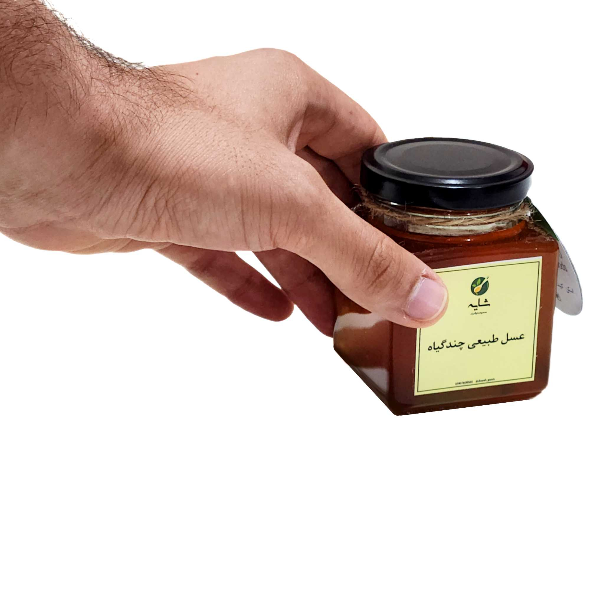 عسل طبیعی چندگیاه شایه - 250 گرم