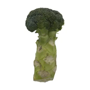 کلم بروکلی ارگانیک رضوانی - 1 عدد