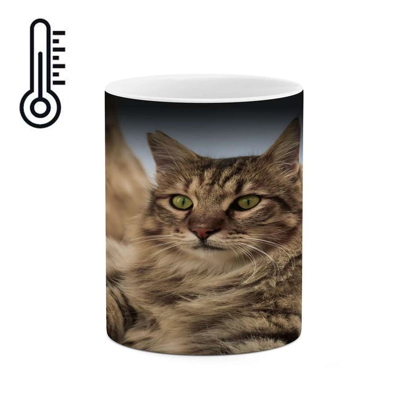 ماگ حرارتی کاکتی مدل گربه کد mgh14129