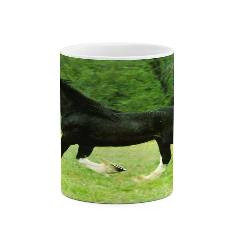 ماگ کاکتی مدل اسب کد mgh24066