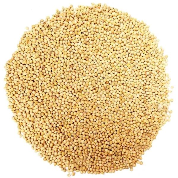 غذای پرندگان مدل ارزن وزن 320 گرم