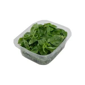 ریحان ایتالیایی درجه یک - 100 گرم