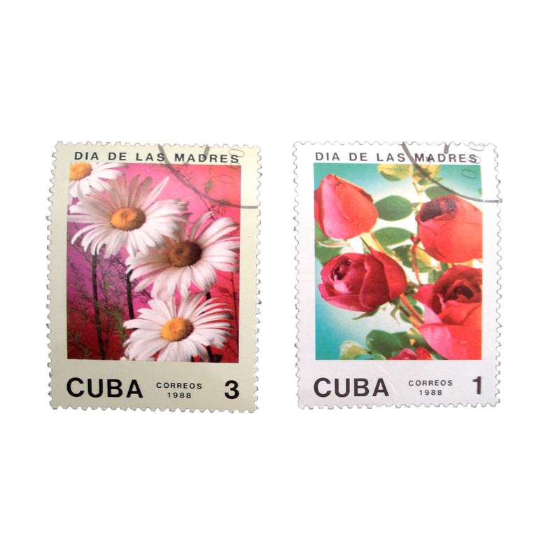 تمبر یادگاری مدل گل کدDS1731 مجموعه 2 عددی