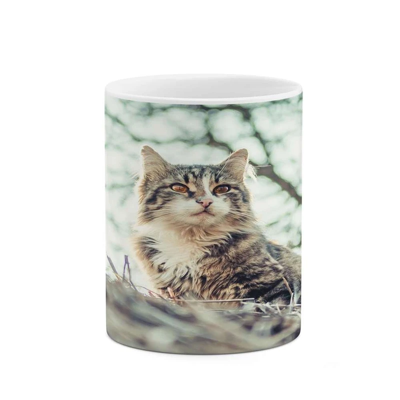 ماگ کاکتی مدل گربه کد mgh16900