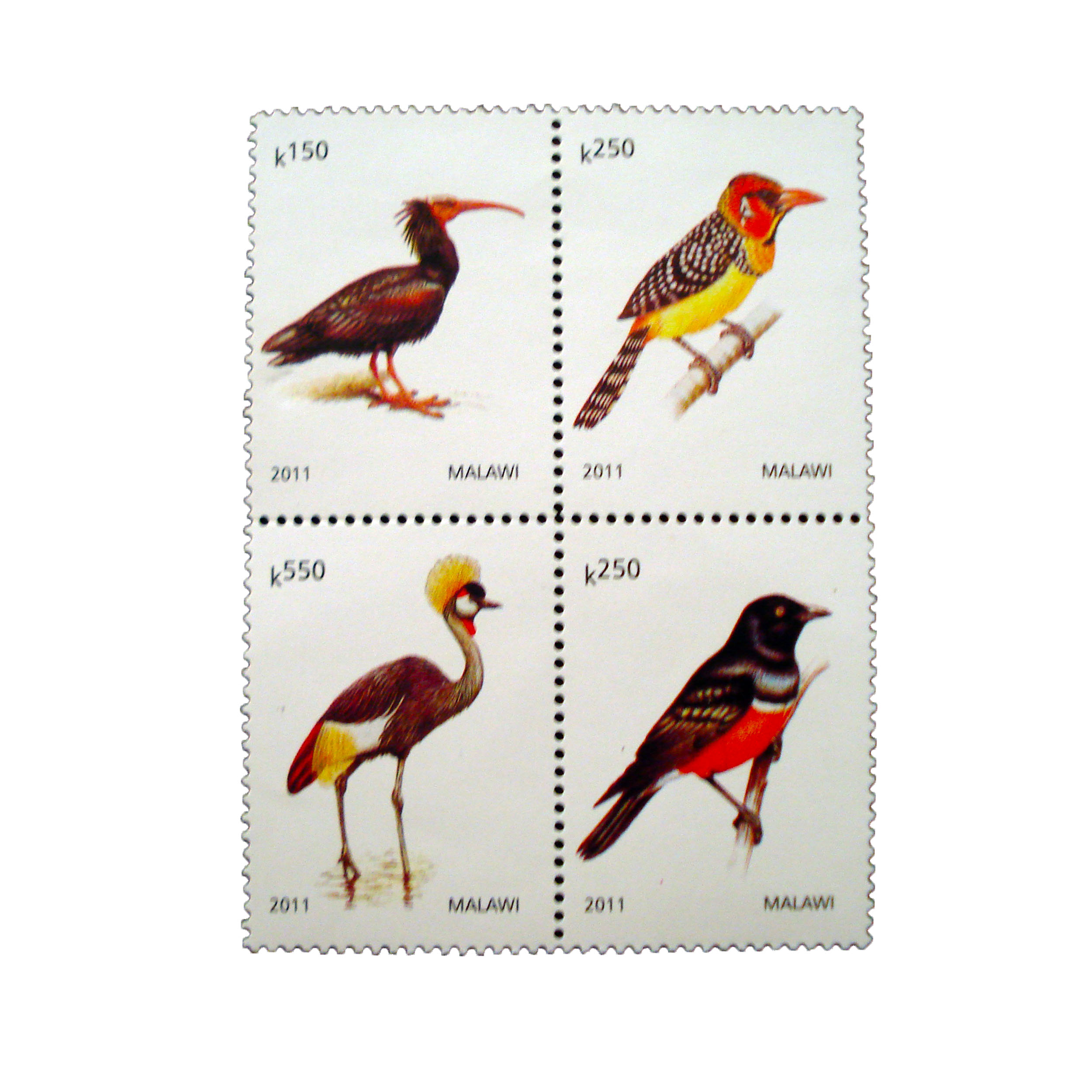 تمبر یادگاری طرح طبیعت مدل پرنده کد bird-716 مجموعه 4 عددی