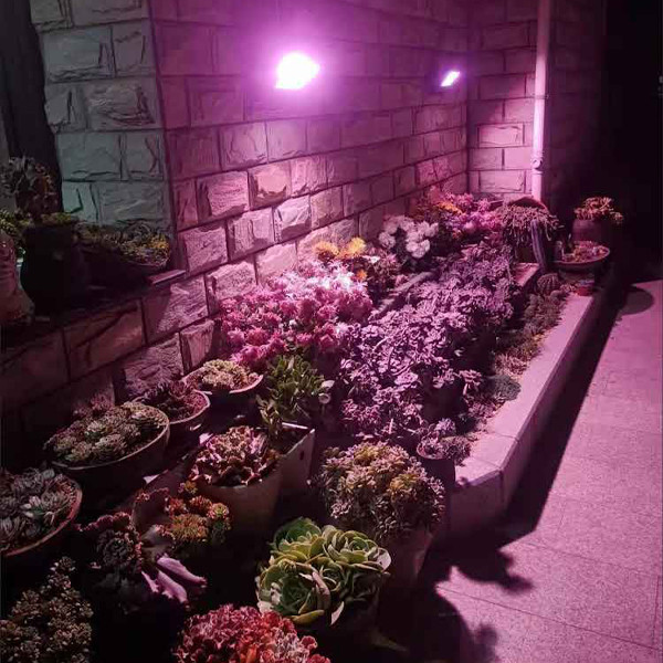 لامپ رشد گیاه 30 وات مدل فول اسپکتروم کد IP66