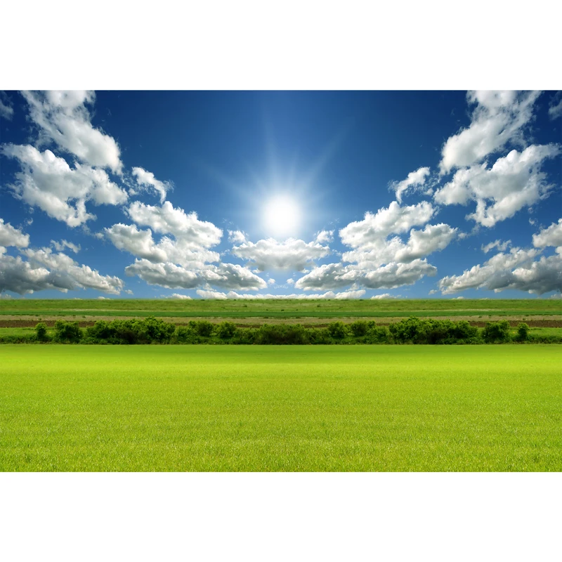 تابلو شاسی مدل دشت و درخت و آسمان و ابر T7097