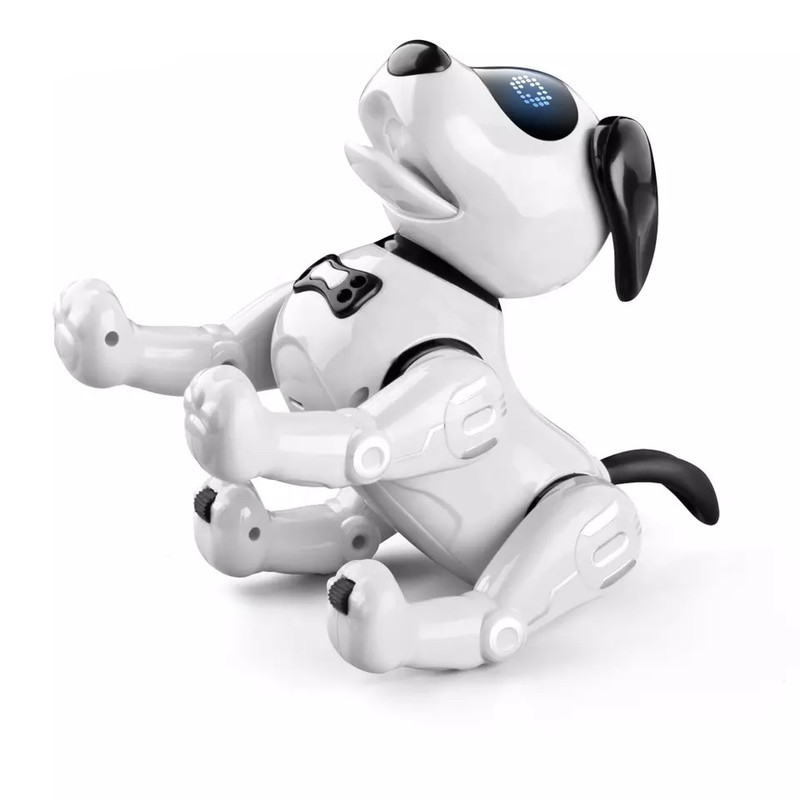 ربات کنترلی مدل سگ کد R19
