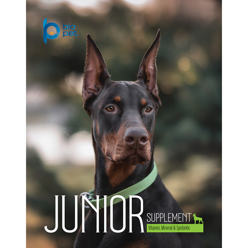 پودر مکمل سگ بالغ و جوان بایو پت مدل Junior وزن 400 گرم