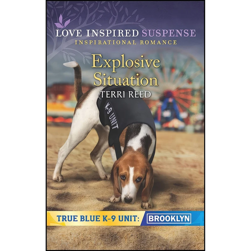 کتاب Explosive Situation  اثر Terri Reed انتشارات Love Inspired Suspense