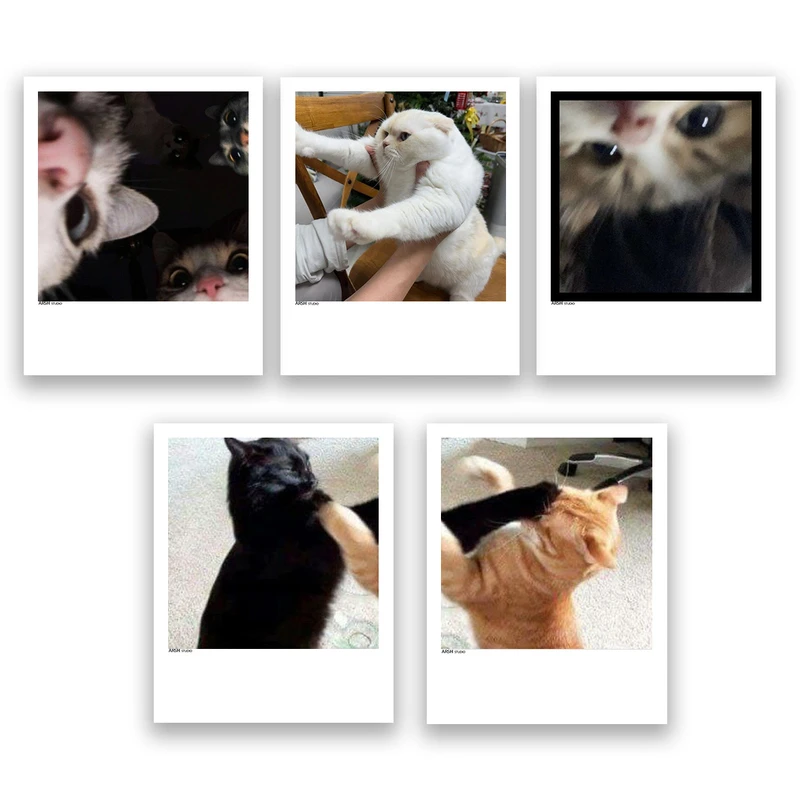 آویز تزیینی عرش مدل فانتزی گربه بامزه کد Asa326 مجموعه پنچ عددی