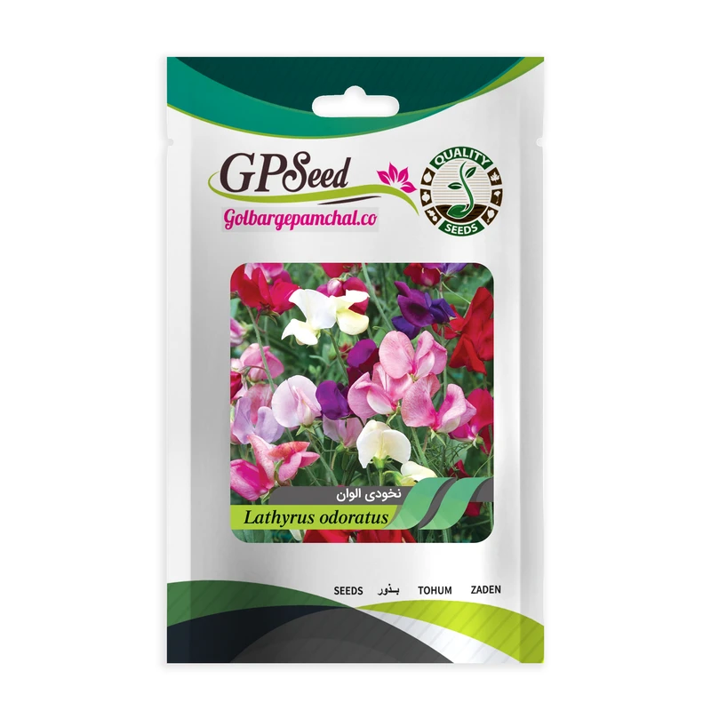 بذر گل نخودی الوان گلبرگ پامچال کد GPF-092