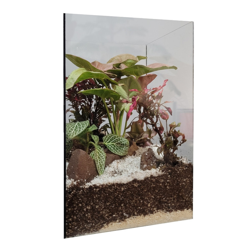 گیاه طبیعی تراریومی مدل 4 وجهی کد 08 گیاه طبیعی تراریومی مدل 4 وجهی کد 08