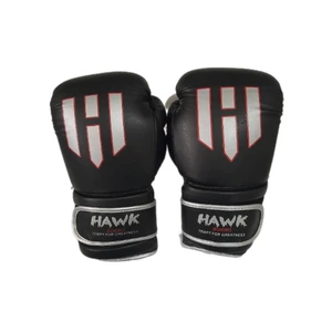 دستکش بوکس مدل HAWK B-92