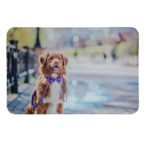  پادری طرح سگ کد 6206 سایز 50 × 70 سانتی متر