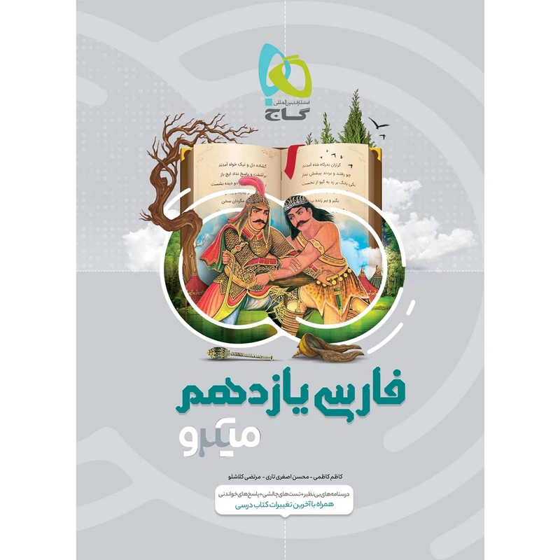 کتاب فارسی یازدهم سری میکرو طبقه بندی اثر جمعی از نویسندگان انتشارات بین المللی گاج
