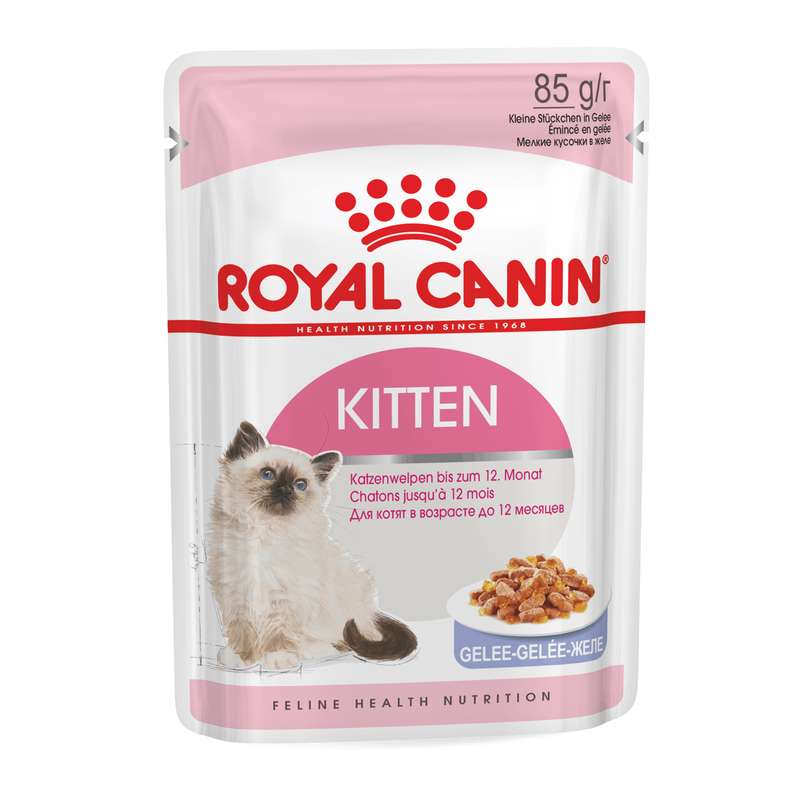 پوچ بچه گربه رویال کنین مدل Kitten In Jelly وزن 85 گرم