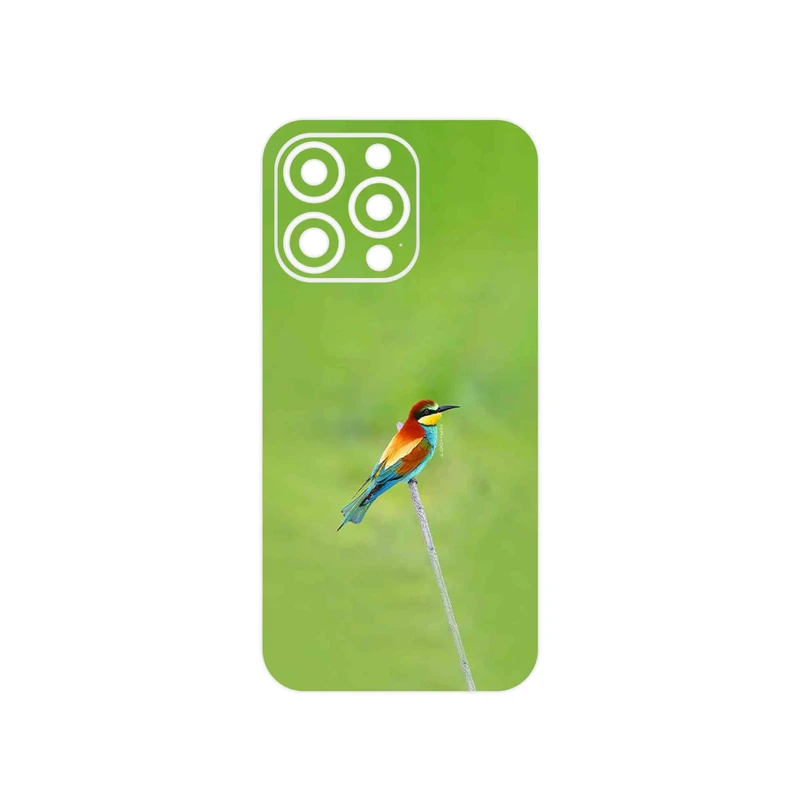 برچسب پوششی ماهوت مدل European bee-eater مناسب برای گوشی موبایل اپل iphone 13 Pro