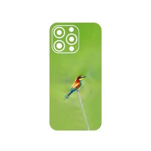 MAHOOT European bee-eater Cover Sticker for Apple iphone 13 Pro