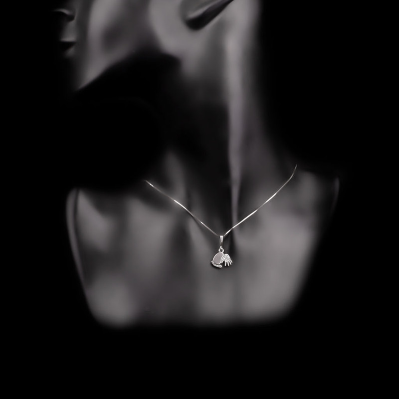 گردنبند نقره زنانه مدل 21830 گردنبند نقره زنانه مدل 21830