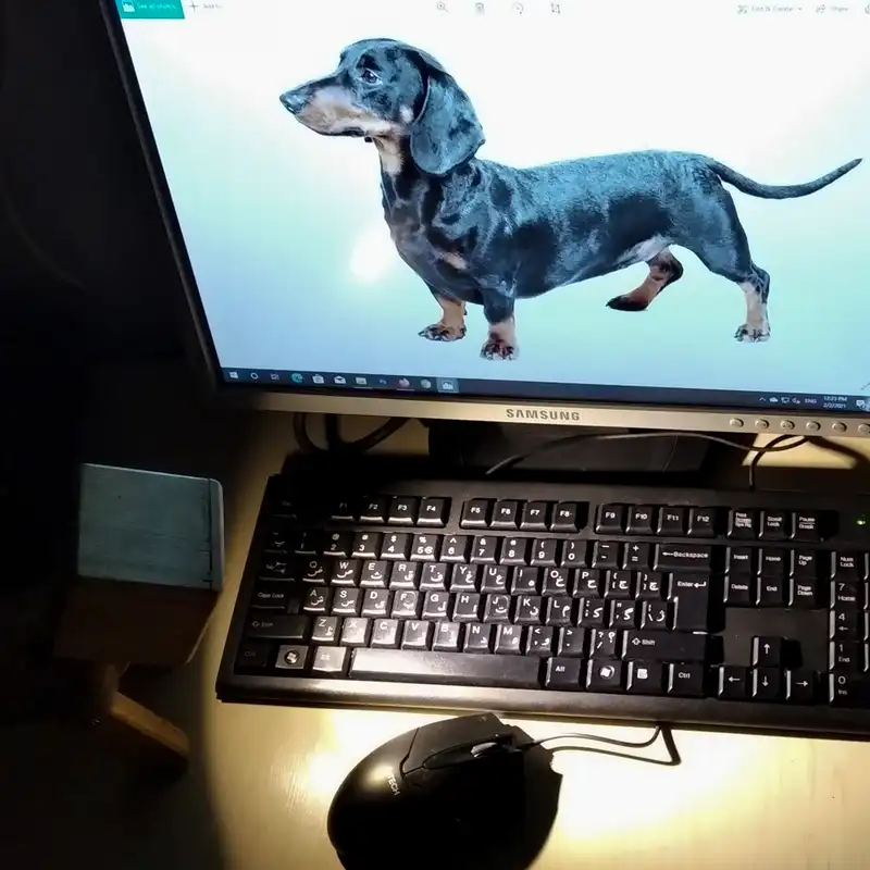 چراغ مطالعه مدل فلورا کد 1 HAKU DOG