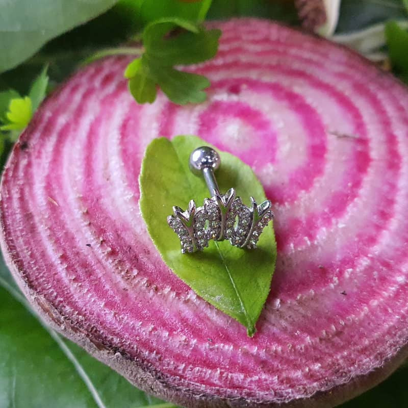 پیرسینگ گوش زنانه پایتخت مدل PS287