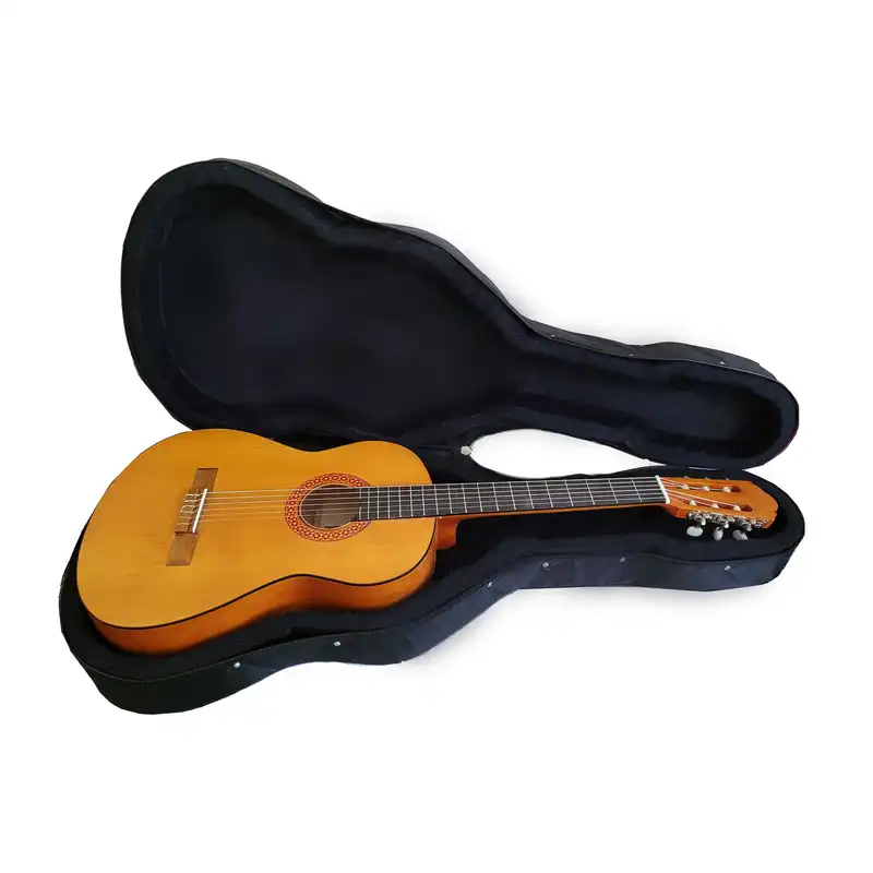 هارد کیس گیتار مدل 001