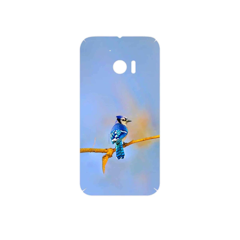 برچسب پوششی ماهوت مدل Cyanocitta cristata مناسب برای گوشی موبایل اچ تی سی 10