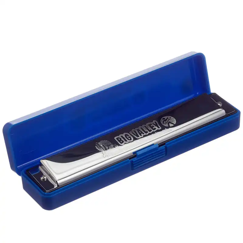 ساز دهنی هوهنر مدل بیگ ولی