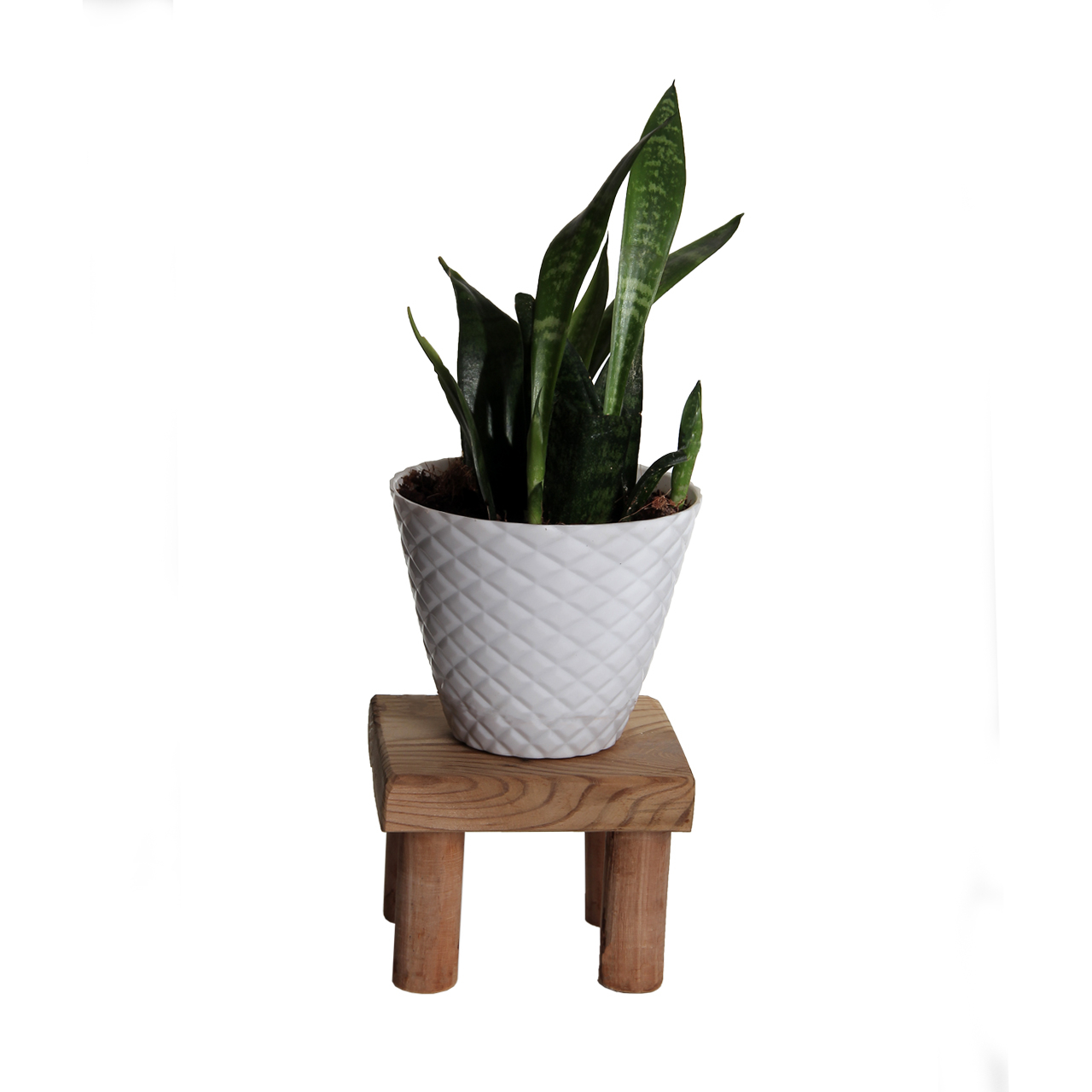 استند گلدان مدل AS70