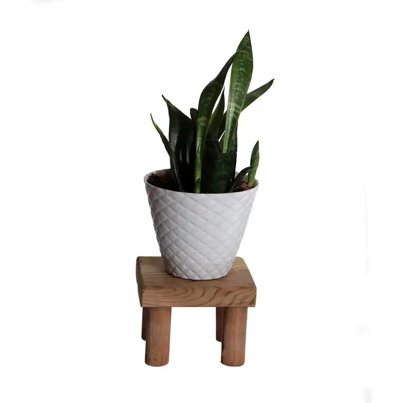 استند گلدان مدل AS70