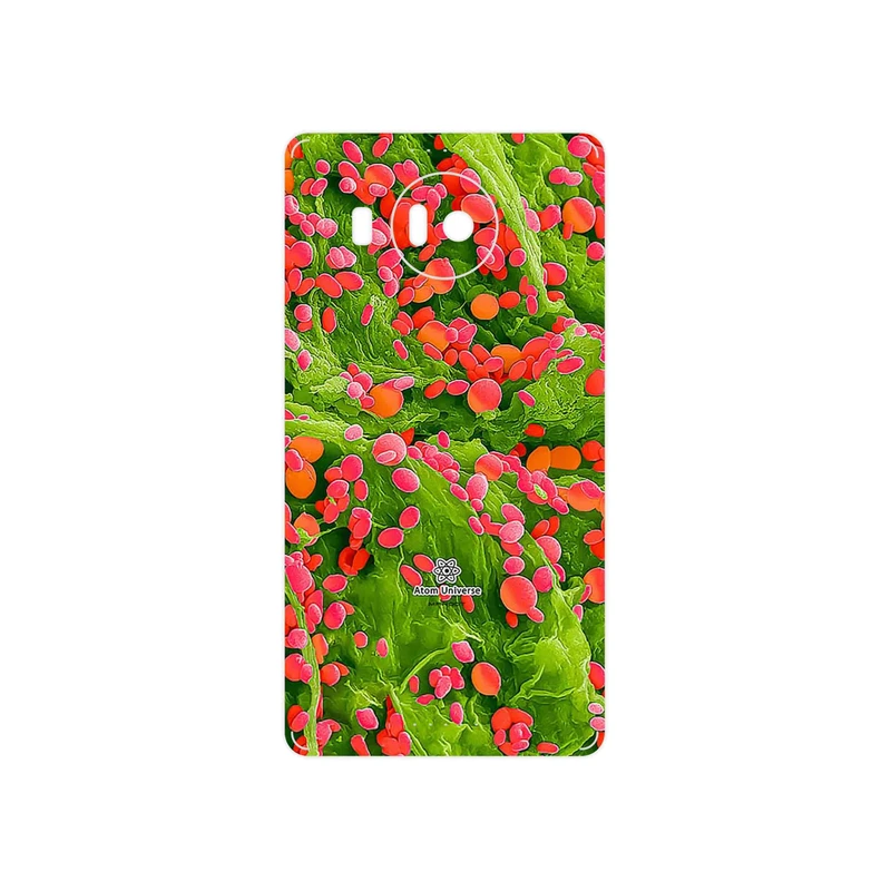 برچسب پوششی ماهوت مدل Atom Universe 3 مناسب برای گوشی موبایل مایکروسافت Lumia 950 XL