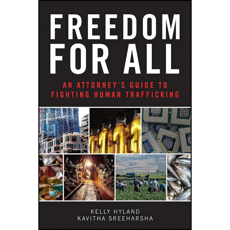 کتاب Freedom for All اثر جمعي از نويسندگان انتشارات American Bar Association