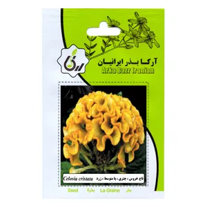 بذر تاج خروس چتری پا متوسط زرد آرکا بذر ایرانیان مدل C55