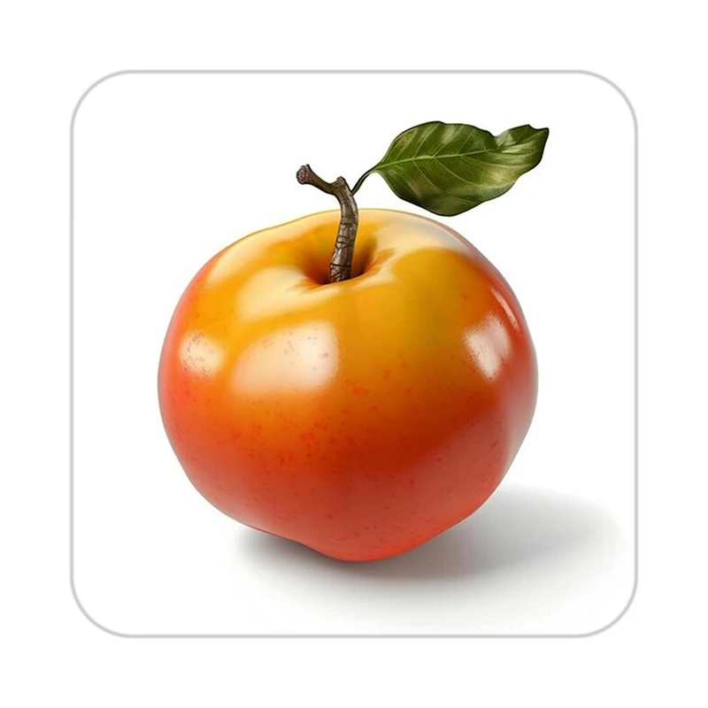 زیر لیوانی کاکتی طرح میوه مدل mp21886