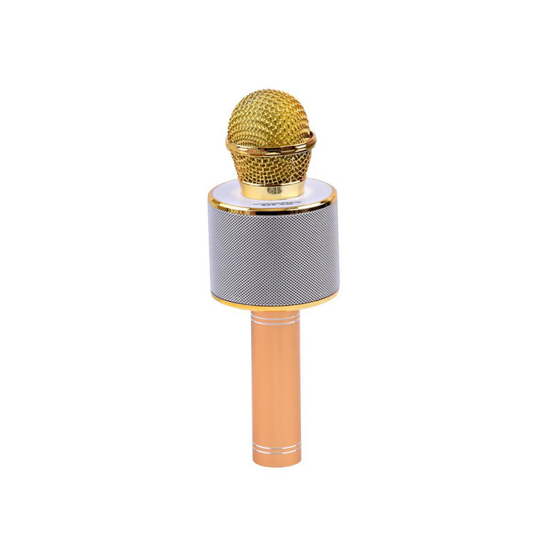 میکروفون اسپیکر گودفری مدل ws-858G