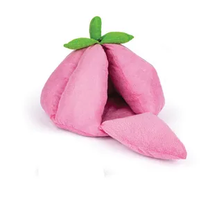 جای خواب سگ و گربه مدل میوه