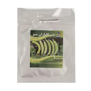 بذر خیار چنبر شرکت گلباران سبز گیلان مدل BKHCH بسته 24 عددی