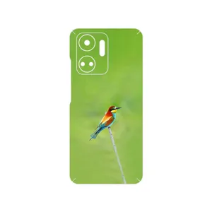 MAHOOT European bee-eater Cover Sticker for Honor X7a