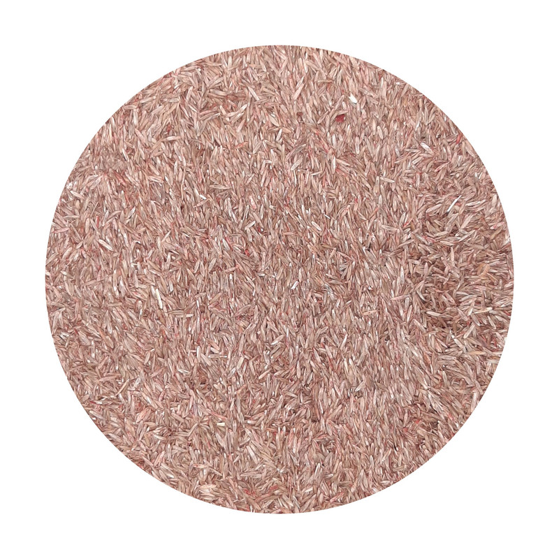 بذر چمن سوپر اسپرت مدل Sport S1