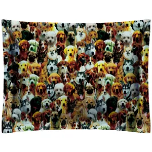 P2-20053 Pillow