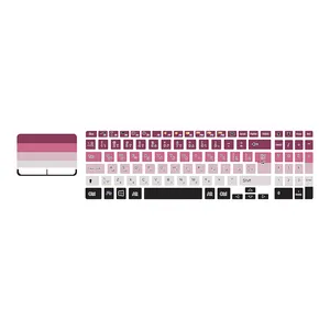 برچسب حروف فارسی کیبورد توییجین و موییجین مدل colors 16 مناسب برای لپ تاپ دل Inspiron 5110