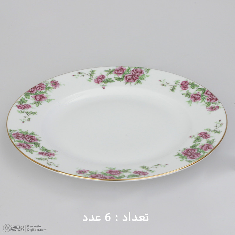 سرویس غذاخوری 28 پارچه چینی زرین ایران سری ایتالیا اف مدل Bidgol درجه یک سرویس غذاخوری 28 پارچه چینی زرین ایران سری ایتالیا اف مدل Bidgol درجه یک