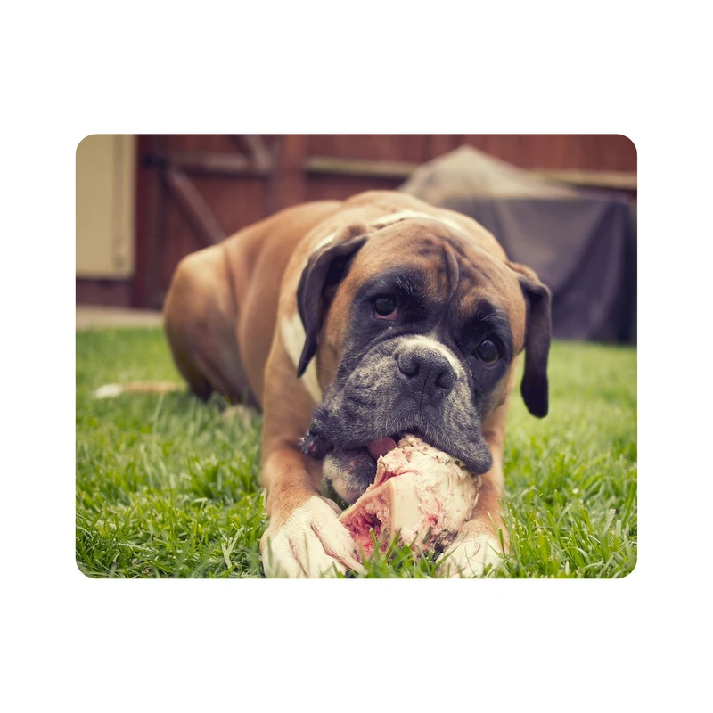 ماوس پد اطلس آبی طرح سگ پیت بول مدل T1484