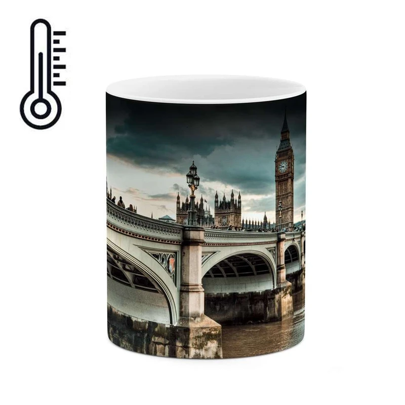 ماگ حرارتی کاکتی مدل پل کد mgh11238